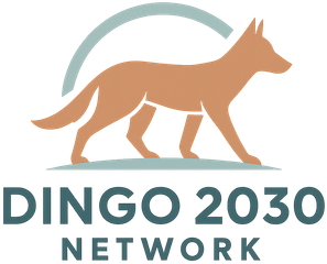 Dingo 2030 Network
